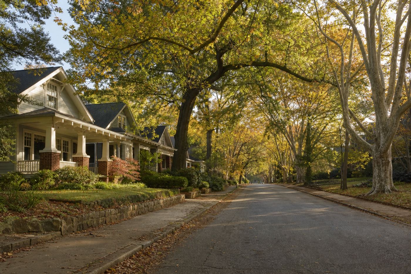 Tree-lined intown Atlanta residential street